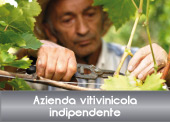 Professione DOC Wine - software gestionale per aziende vitivinicole indipendenti 
