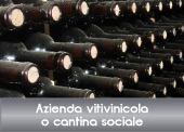 Professione DOC Wine - software gestionale per aziende vitivinicole, cantine sociali, cooperative e consorzi