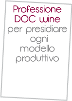 Professione DOC Wine - software gestionale per il settore vitivinicolo