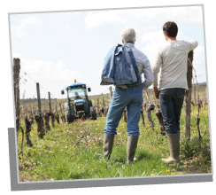 Professione Doc Wine - il software gestionale per i viticoltori che consente la gestione di aziende vitivinicole